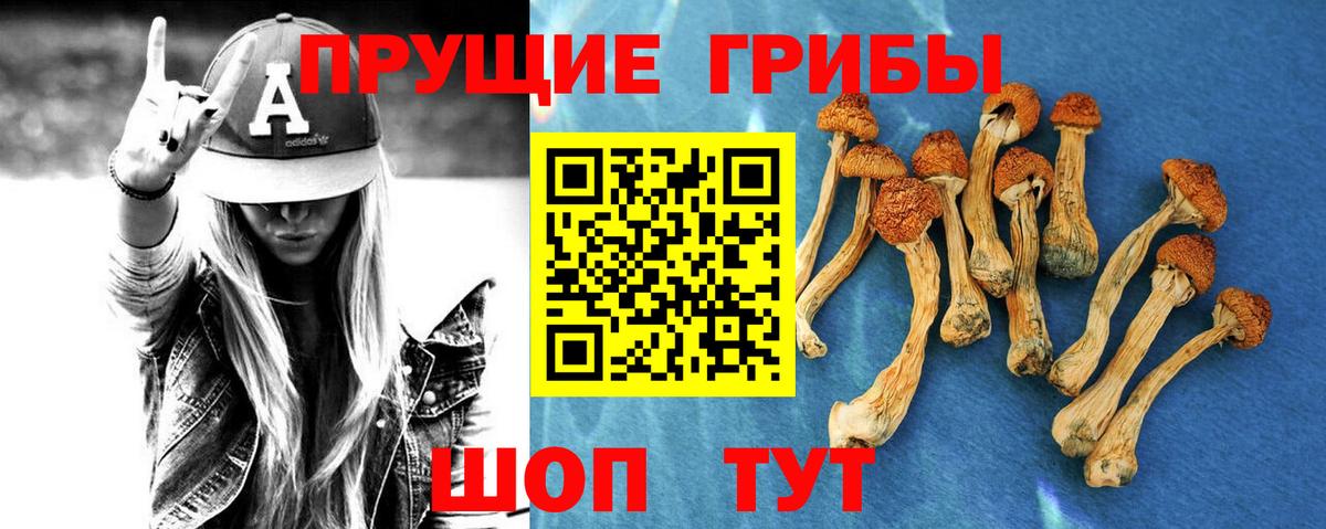 Галлюциногенные грибы прущие грибы Междуреченск