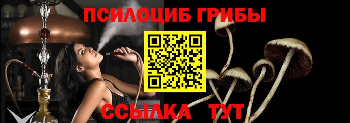 Галлюциногенные грибы мухоморы  Псилоцибиновые грибы прущие грибы  Междуреченск  Вход с VPN 